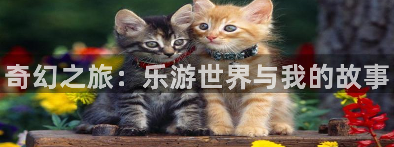 富邦娱乐：奇幻之旅：乐游世界与我的故事