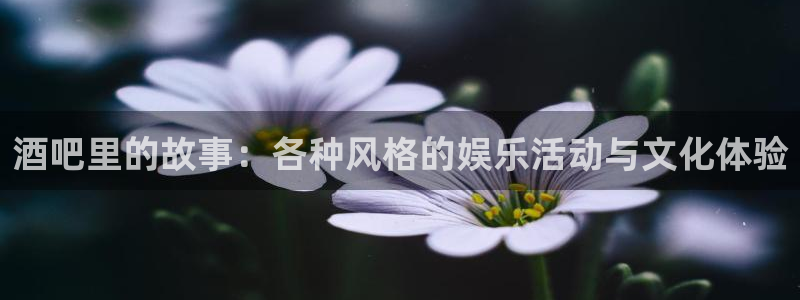 富邦娱乐：酒吧里的故事：各种风格的娱乐活动与文化体验